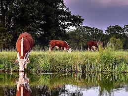 Dreamy Chalet With a Covered Terrace, Close to Nature