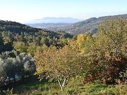 Spectacular Holiday Home in Pescia With Swimming Pool