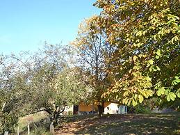 Spectacular Holiday Home in Pescia With Swimming Pool