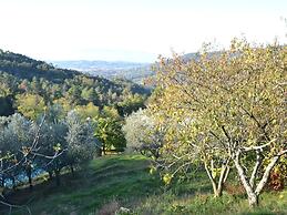 Spectacular Holiday Home in Pescia With Swimming Pool