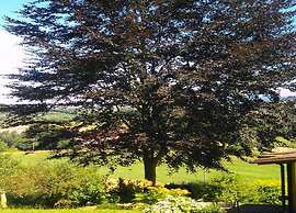 Charming Holiday Home With Natural Garden in Kaltennordheim-thuringia