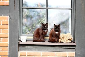 Terraced House, Lohmen