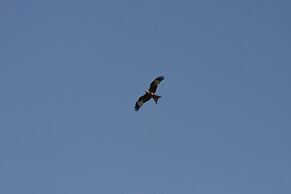 Terraced House, Lohmen