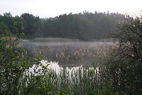 Terraced House, Lohmen