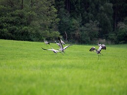 Terraced House, Lohmen