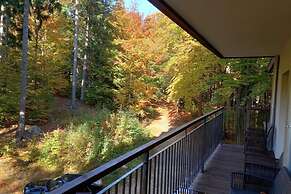 Apartment in Szklarska Poreba With Mountains View