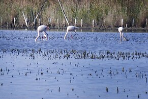 Holiday Cottage With Private Terrace, Bellegarde