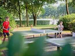 Cozy Tiny House With a Nice Terrace Near Eindhoven