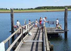 Beautiful Holiday Home in Scherpenisse With Charming Terrace