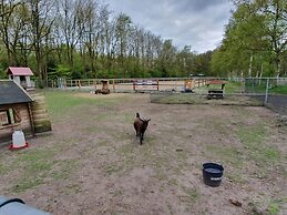 Holiday Home in Schoonloo With Balcony/terrace