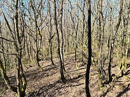 6 Person Holiday Home in Brovst