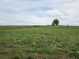 Atmospheric Holiday Home in Durbuy With Sauna