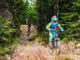 8 Person Holiday Home in Lofsdalen