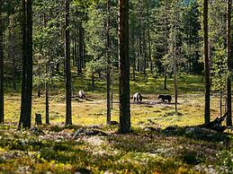 8 Person Holiday Home in Lofsdalen