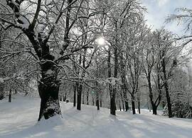 Amazing Apartment in Cavalese With Shared Terrace