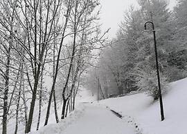 Amazing Apartment in Cavalese With Shared Terrace