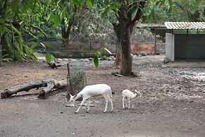 Aayush Resort