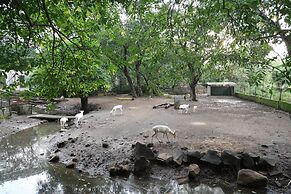 Aayush Resort
