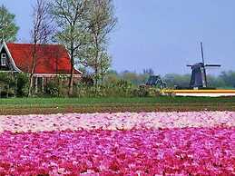 Apartment With Terrace With Sufficient Garden