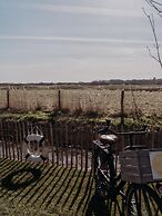 Apartment With Terrace With Sufficient Garden