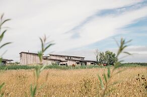 Apartment With Terrace With Sufficient Garden