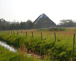 Apartment With Terrace With Sufficient Garden