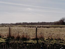 Apartment With Terrace With Sufficient Garden