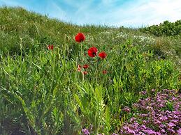 Fantastic Apartment Seaside With Terrace