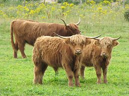 Serene Holiday Home in De Koog Texel With Sauna