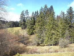 Holiday Home Reichenbach