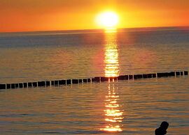 Charmante Ferienwohnung mit Garten in Wiek