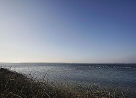 Charmante Ferienwohnung mit Garten in Wiek