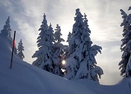 Graceful Chalet in Gaschurn With Sauna