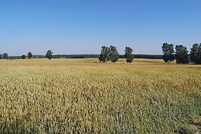 Terraced House With Pool and Sauna, Sieciemin