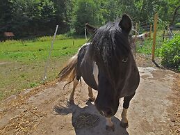 Holiday Farm Situated Next to the Kellerwald-edersee National Park Wit