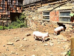 Holiday Farm Situated Next to the Kellerwald-edersee National Park Wit