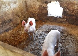 Holiday Farm Situated Next to the Kellerwald-edersee National Park Wit