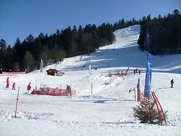 Nice Chalet With Dishwasher, in the High Vosges