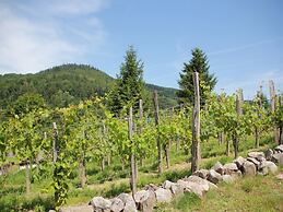 Nice Chalet With Dishwasher, in the High Vosges