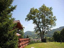 Nice Chalet With Dishwasher, in the High Vosges