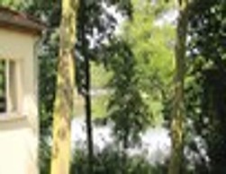 Feriendorf am Weinberg, Dobbrikow