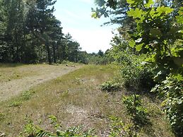 Skyscraper Apartment on the Highest Point With Beautiful View