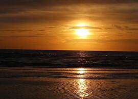 Skyscraper Apartment on the Highest Point With Beautiful View