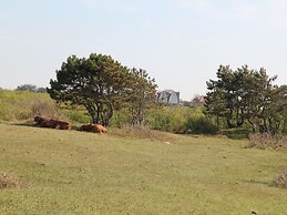 Skyscraper Apartment on the Highest Point With Beautiful View