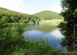 Comfortable Waterfront Apartment in Hahnenklee