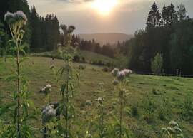 Vintage Villa With Private Garden in Rendeux