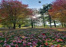 Vintage Villa With Private Garden in Rendeux