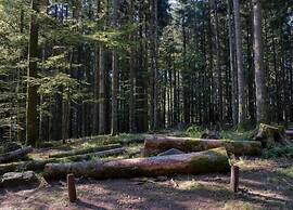 Vintage Villa With Private Garden in Rendeux