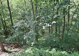 Vintage Villa With Private Garden in Rendeux