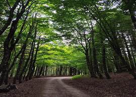 Vintage Villa With Private Garden in Rendeux